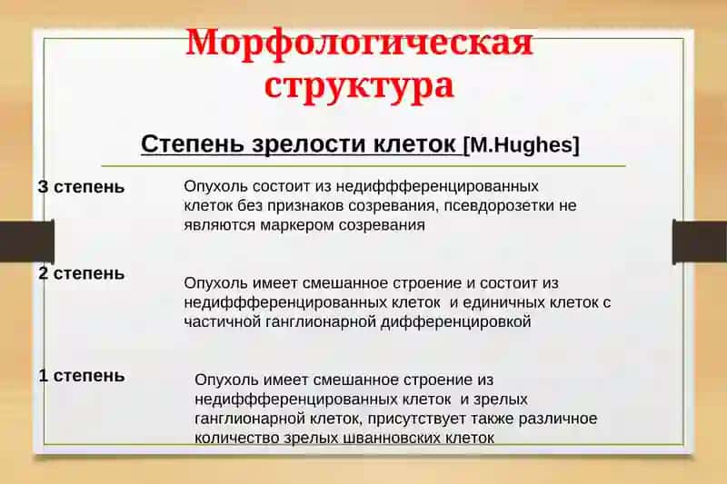 Нейробластома 4
