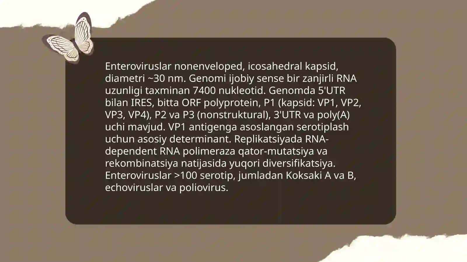 Enteroviruslar 4