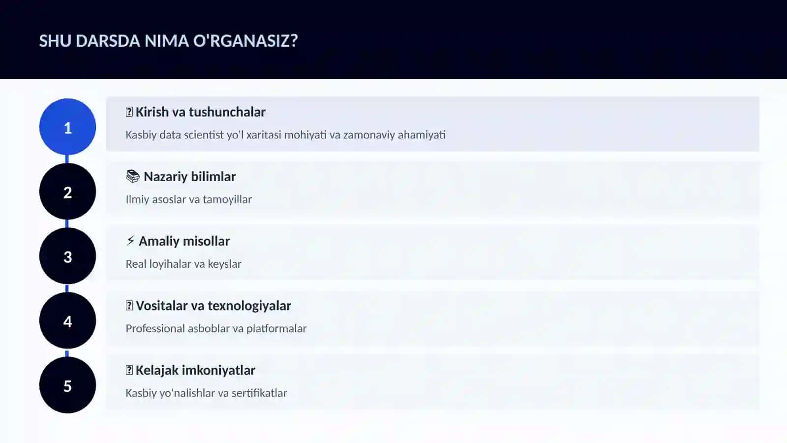Kasbiy data scientist yo'l xaritasi 4