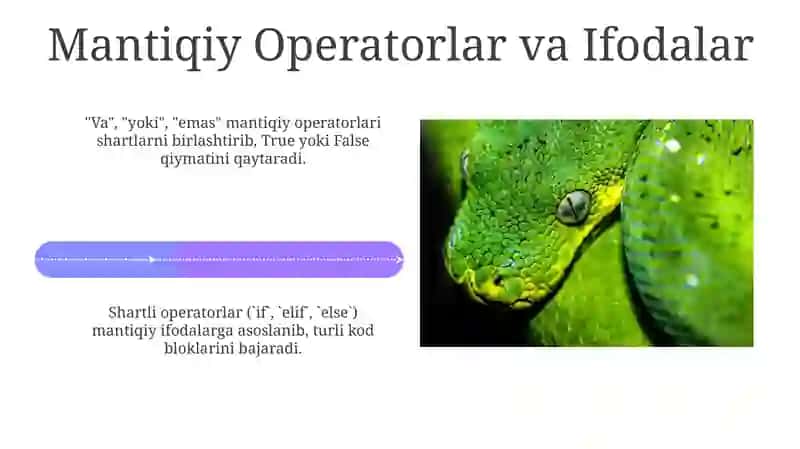 Python dasturlash tilida shart operatorlari 4