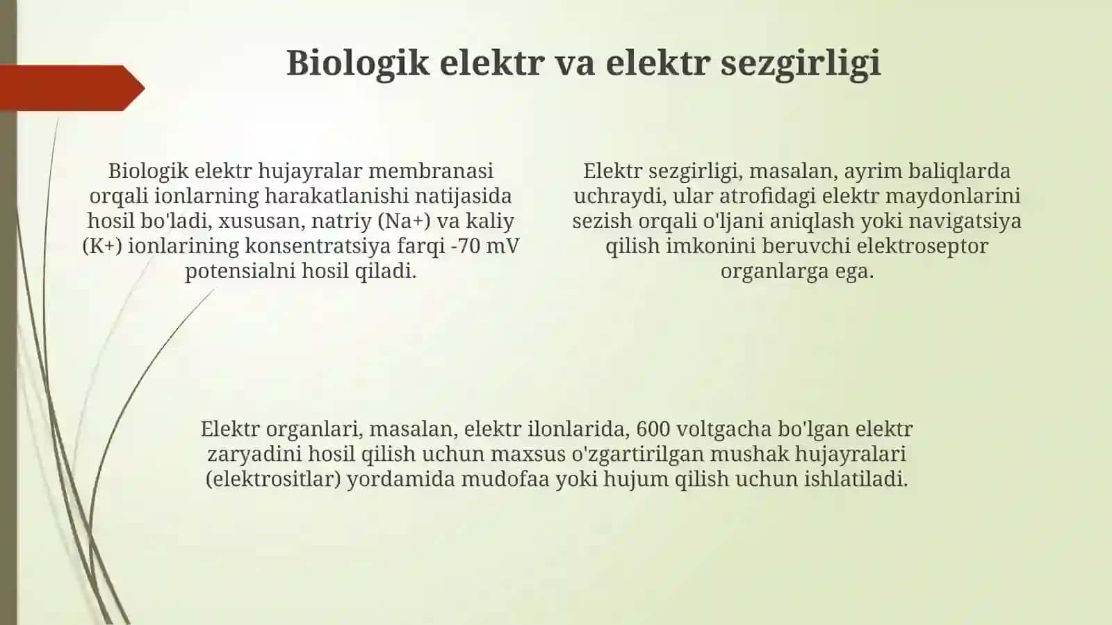 Tabiatdagi elektr hodisalari 4