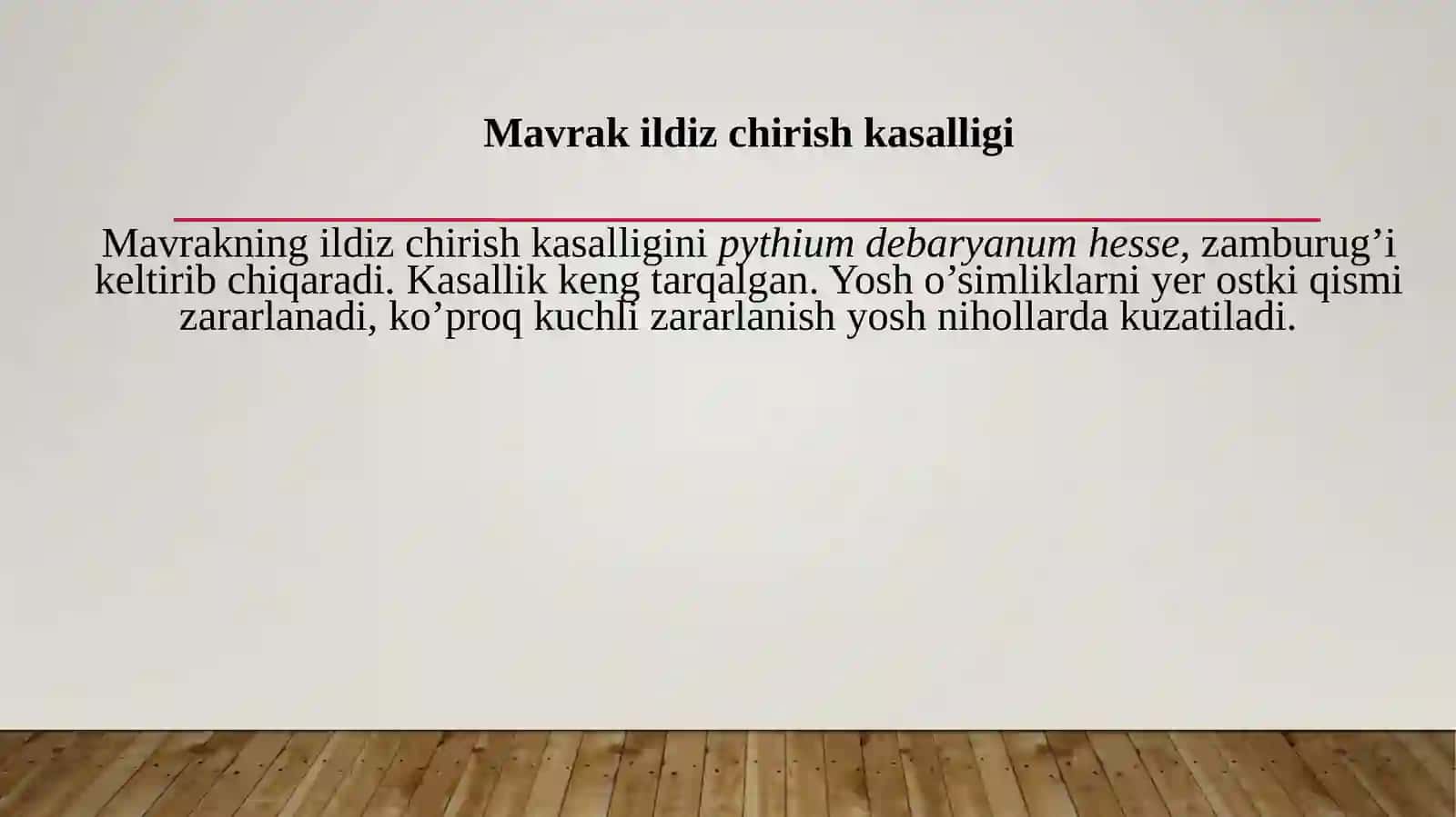 Mavrak (Salvia) 4