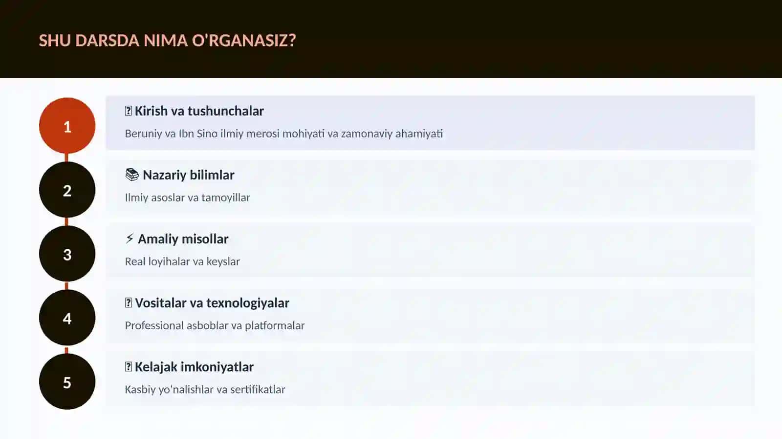 Beruniy va Ibn Sino ilmiy merosi 4