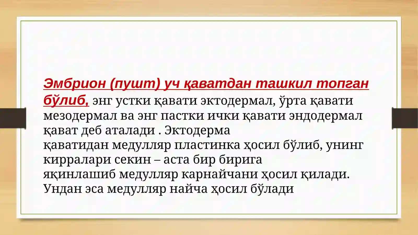 Асаб системасининг онтогенези 4