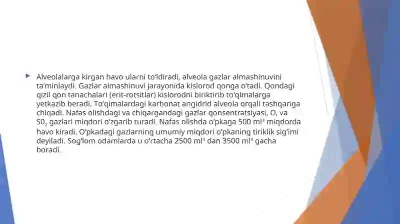 NAFAS OLISH TIZIMI ANATOMIYASI, FIZIOLOGIYA VA FUNKSIYALARI 4