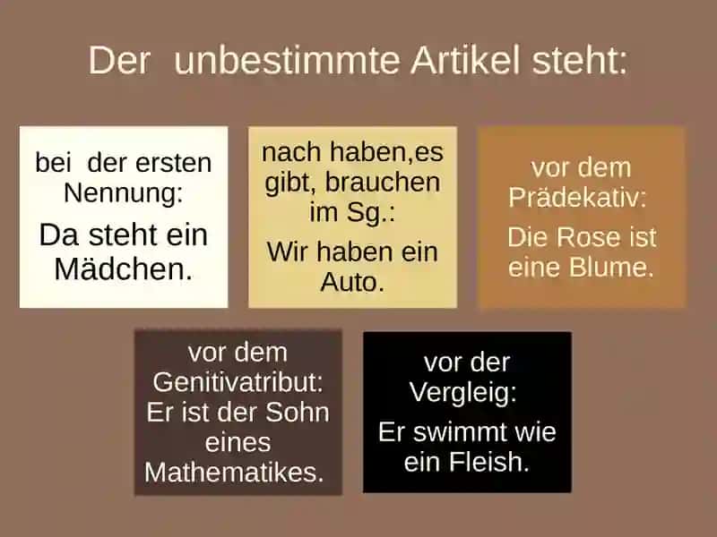 DER ARTIKEL 4