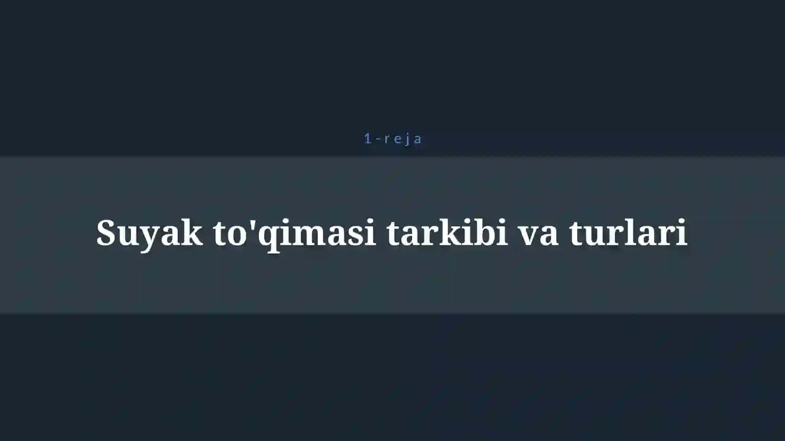 SUYAKLAR TUZILISHI 4