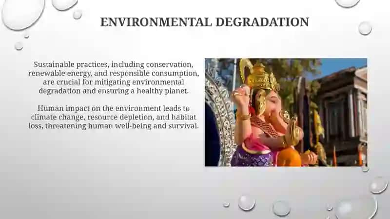 Human and environment 4