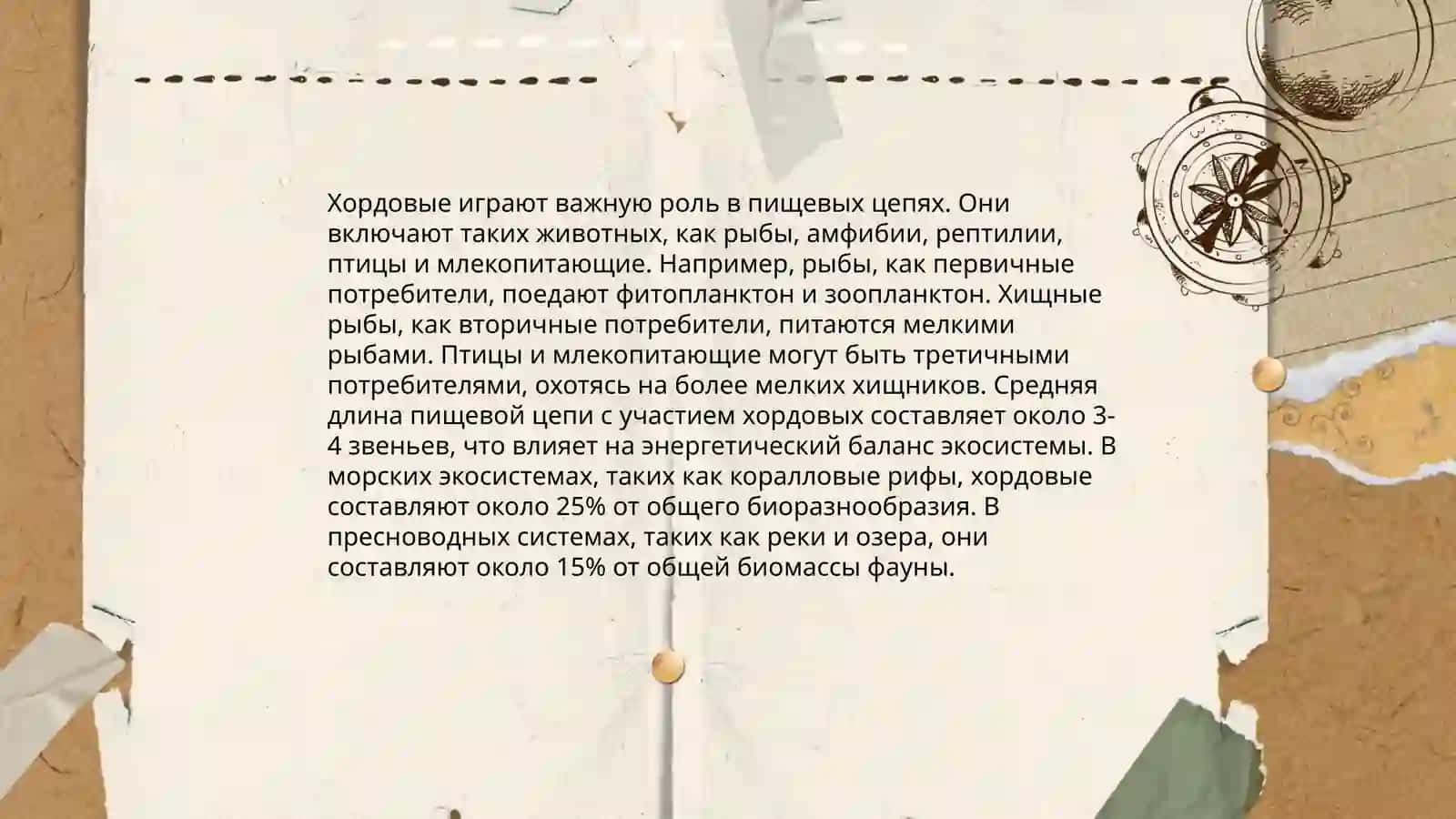 Роль хордовых в биосфере 4