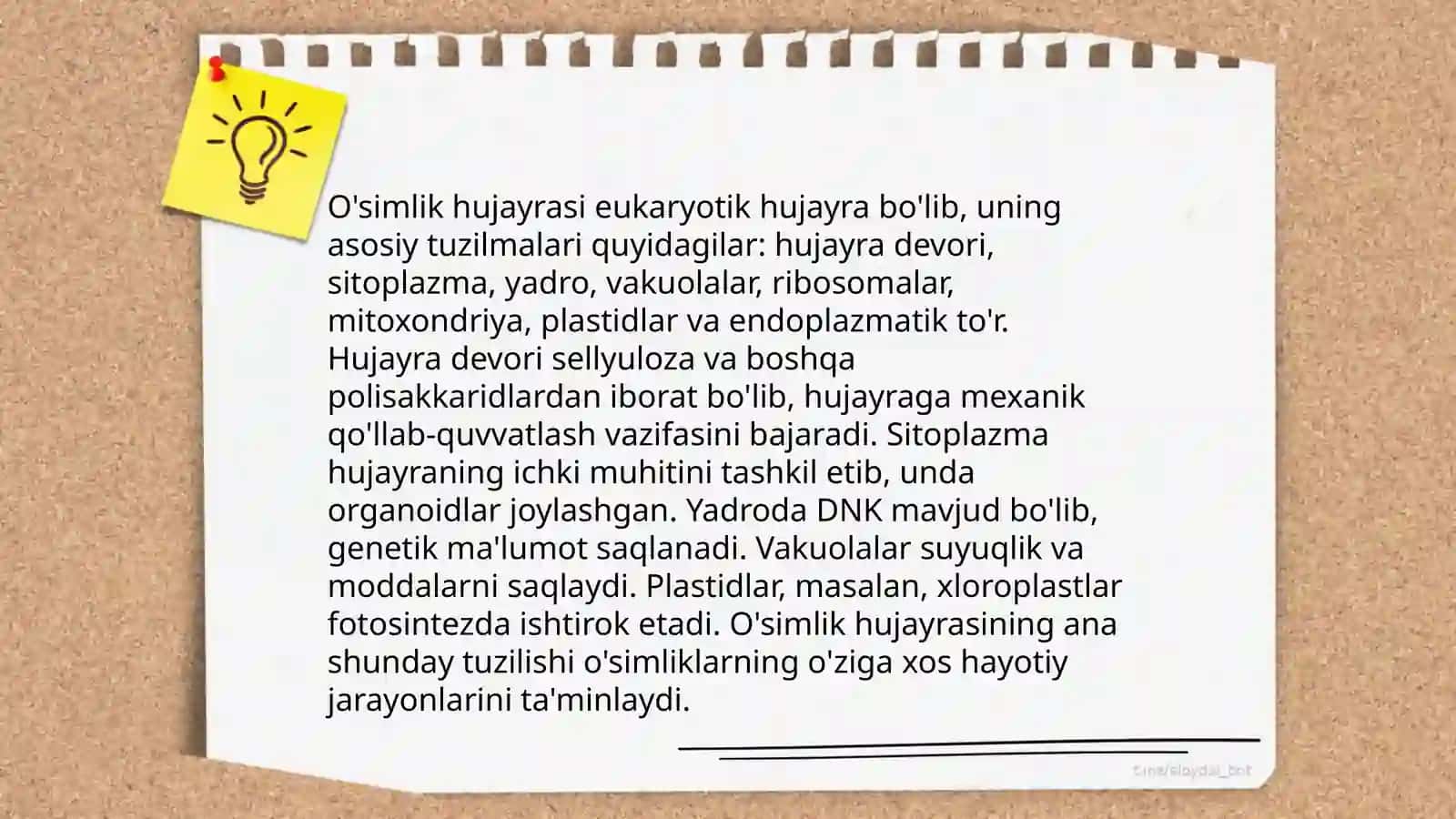 Hujayra oʻsimliklar olami va sistematikasi 4