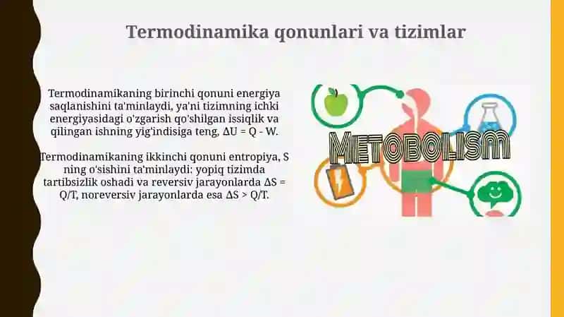 Moddalar va energiya almashinuvi 4