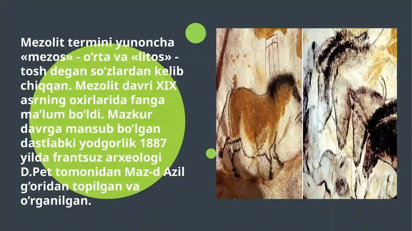 Mezolit davri 4