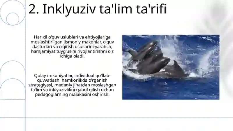Inklyuziv O'quv Dasturi 4