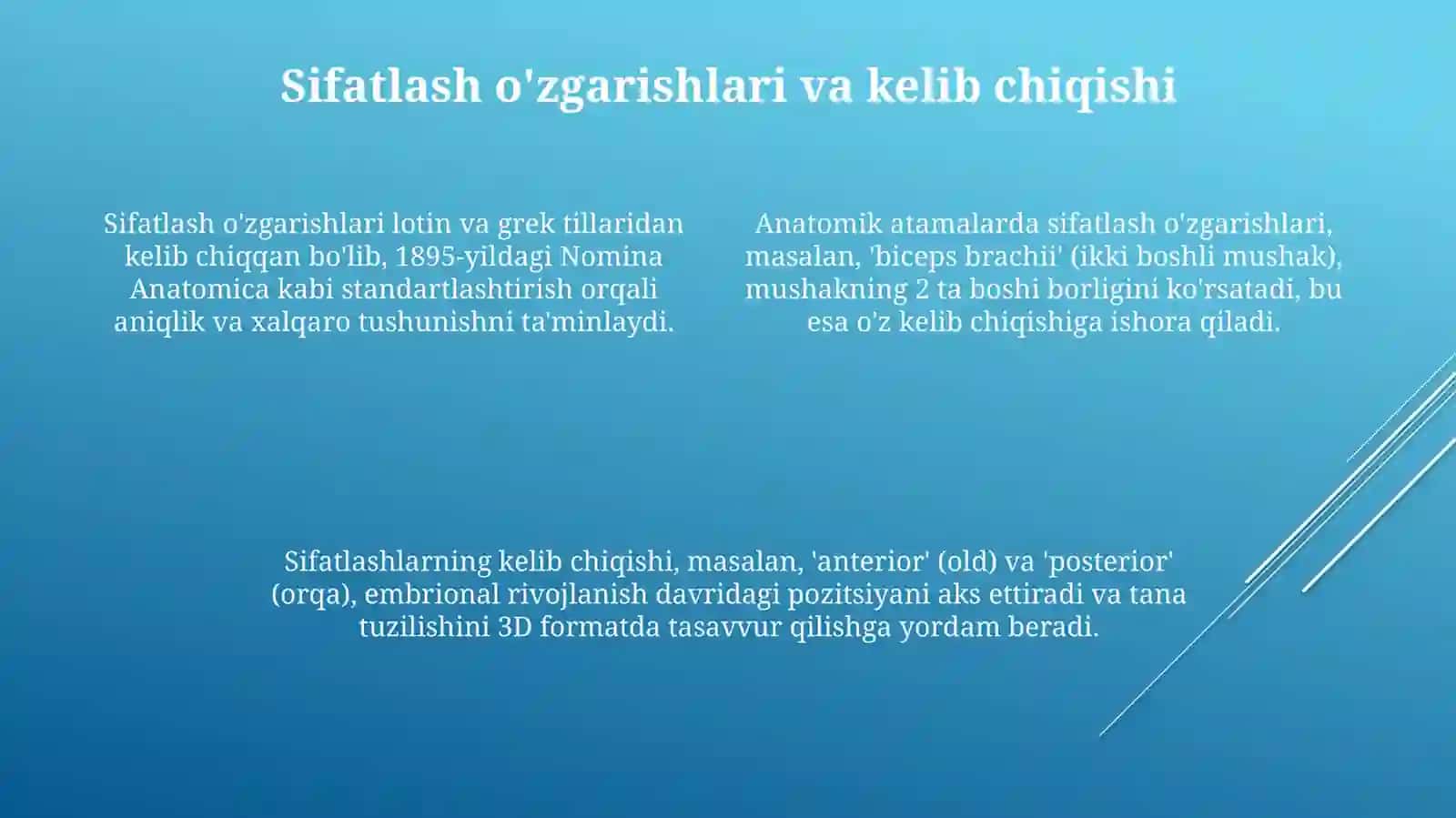 Anatomik terminlar tuzilishi 4