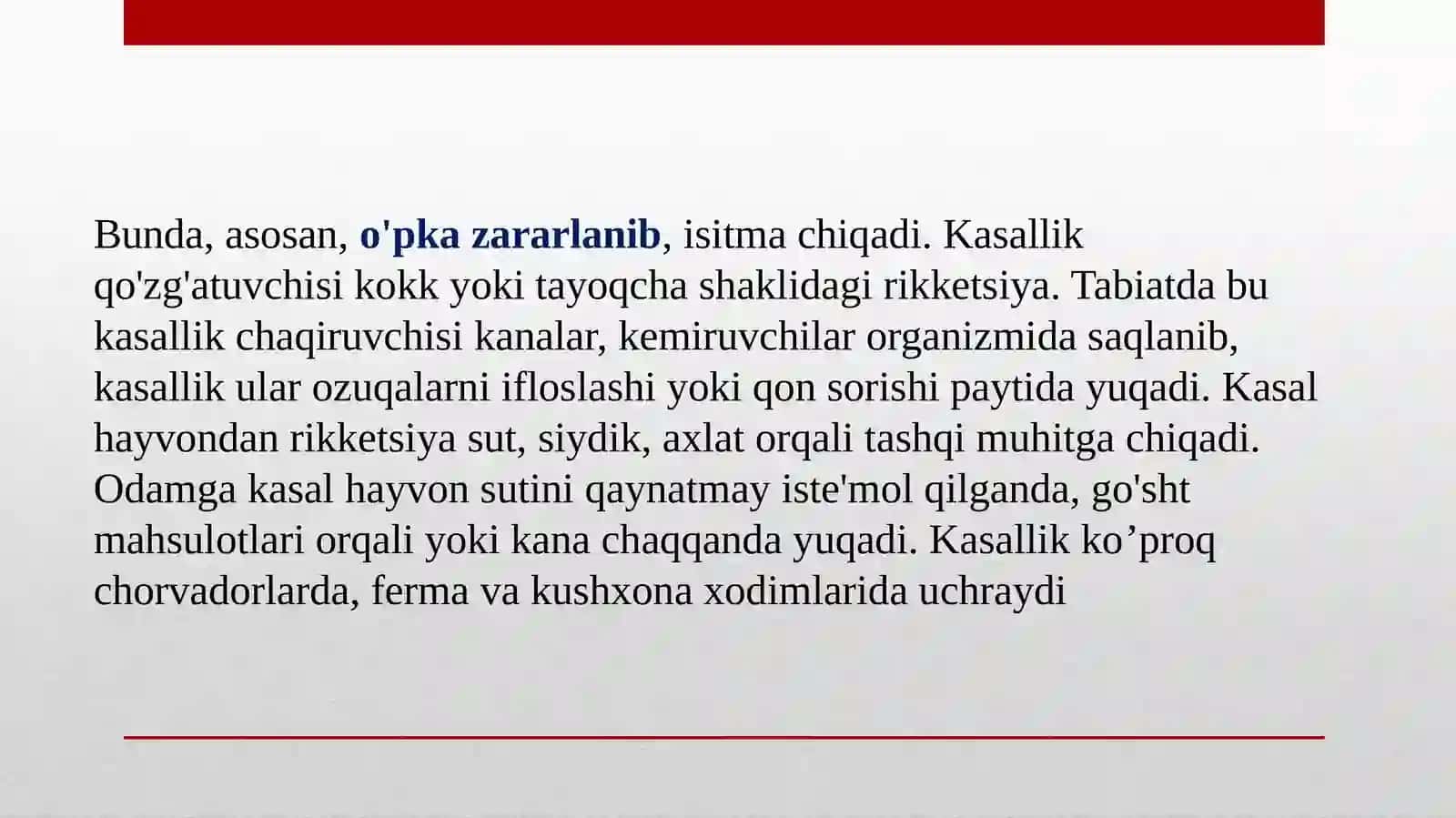 Kuisitmasi 4