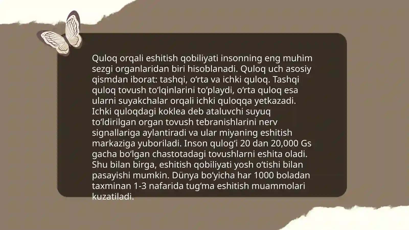 Sezgi a'zolari 4