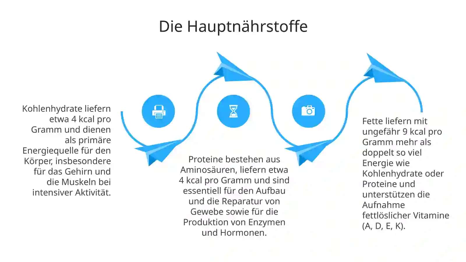Lebensmittel: Grundlagen und Bedeutung 4
