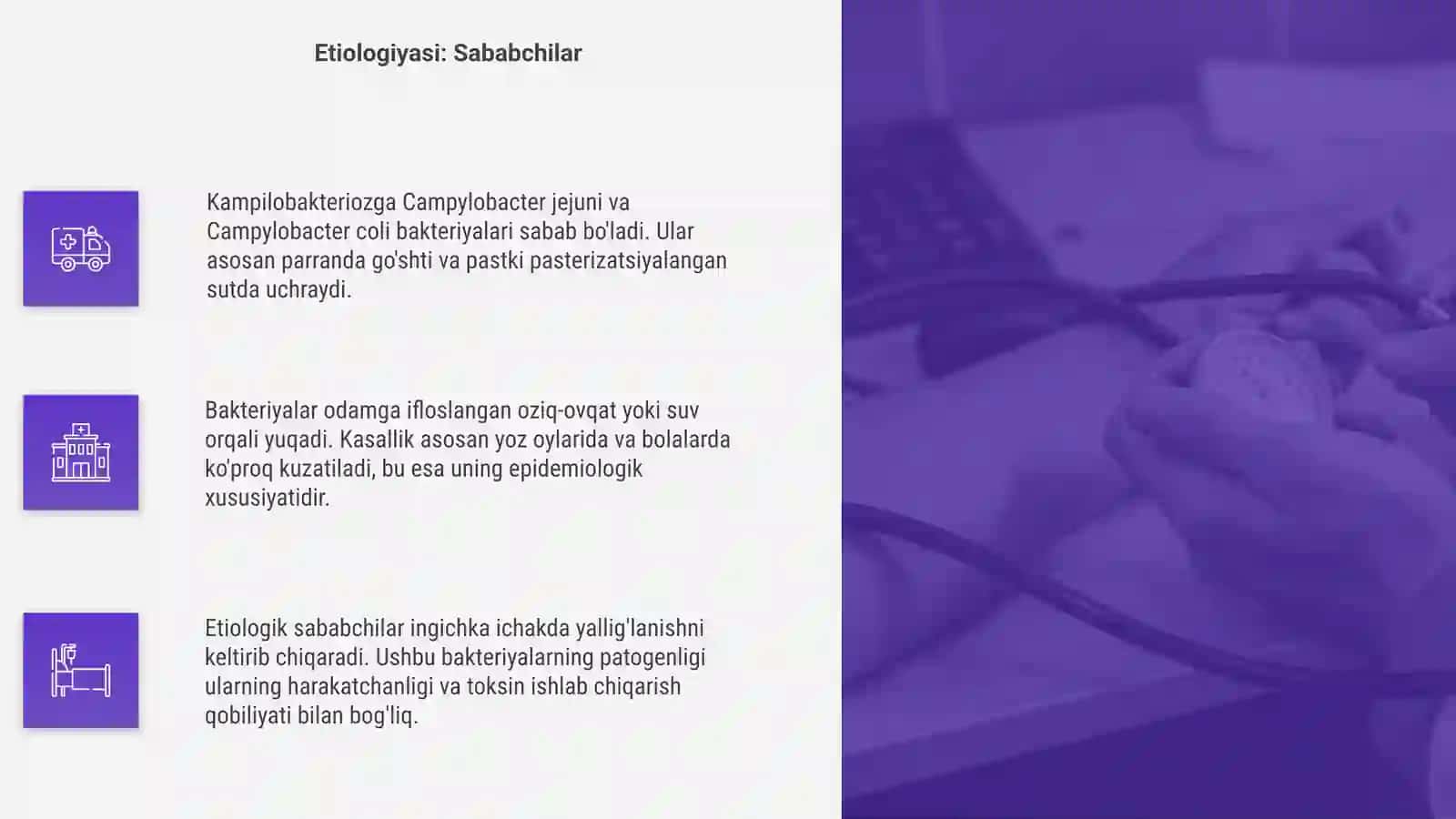 Kampilobakterioz 4