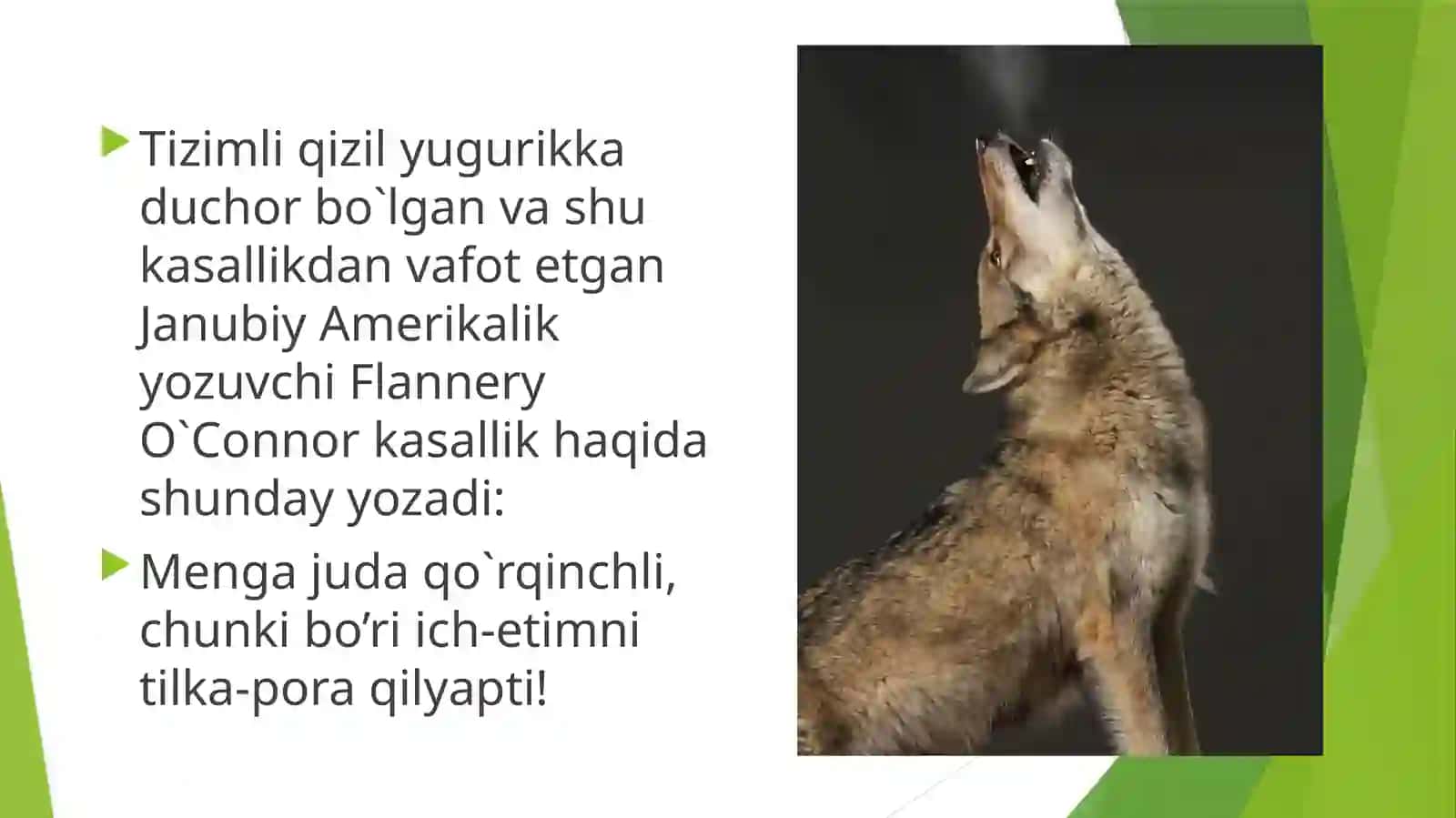 Tizimli qizil yugurik 4