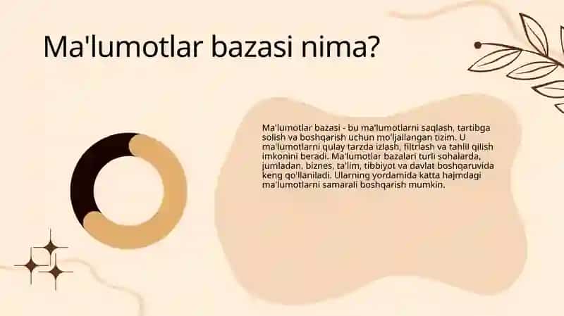 Ma'lumotiarbazalari va MS Access 4