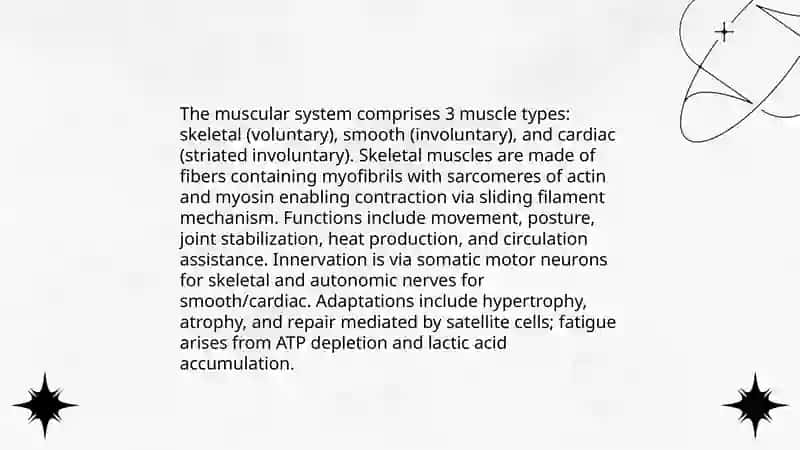 Human Body 4