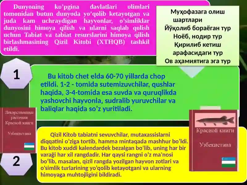 QizilKitob 4