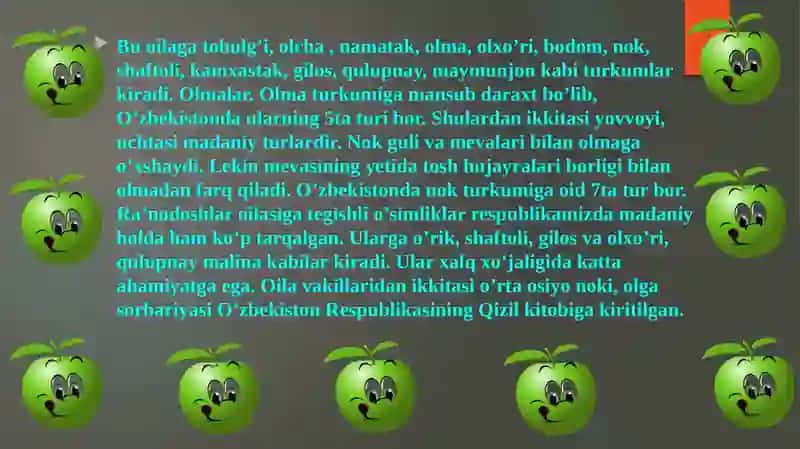 GULXAYRIDOSHLAR 4