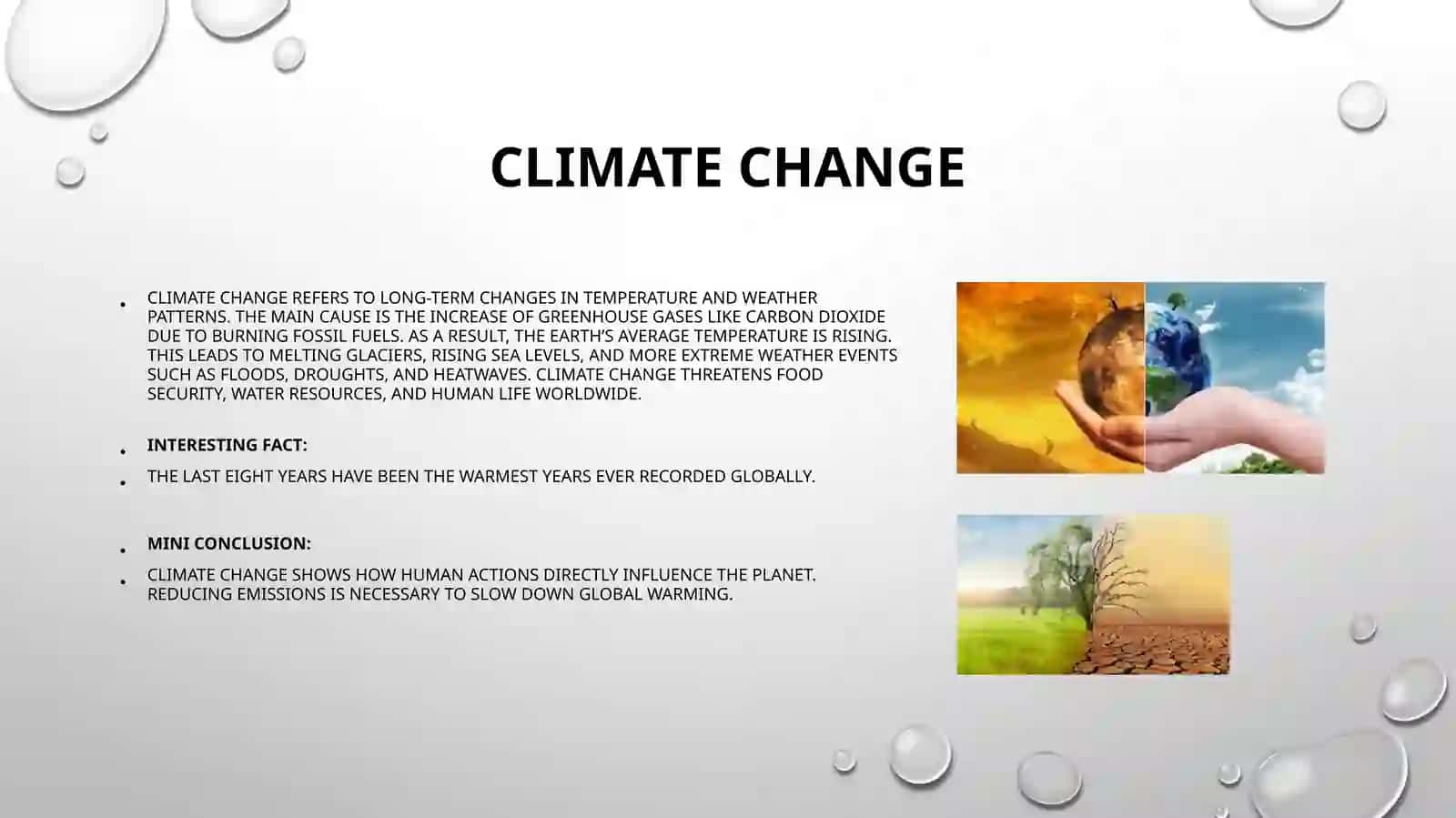 Ecological problems of the world 4