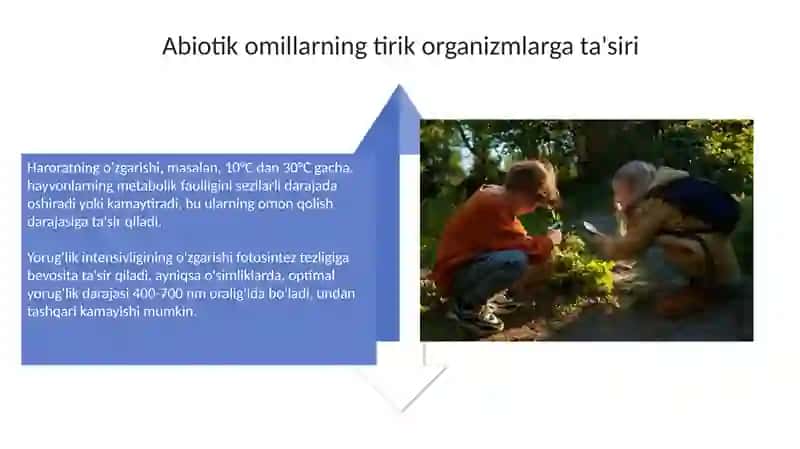 Abiotik omillarning tirik organizmlarga ta'sirini o'rganish 4