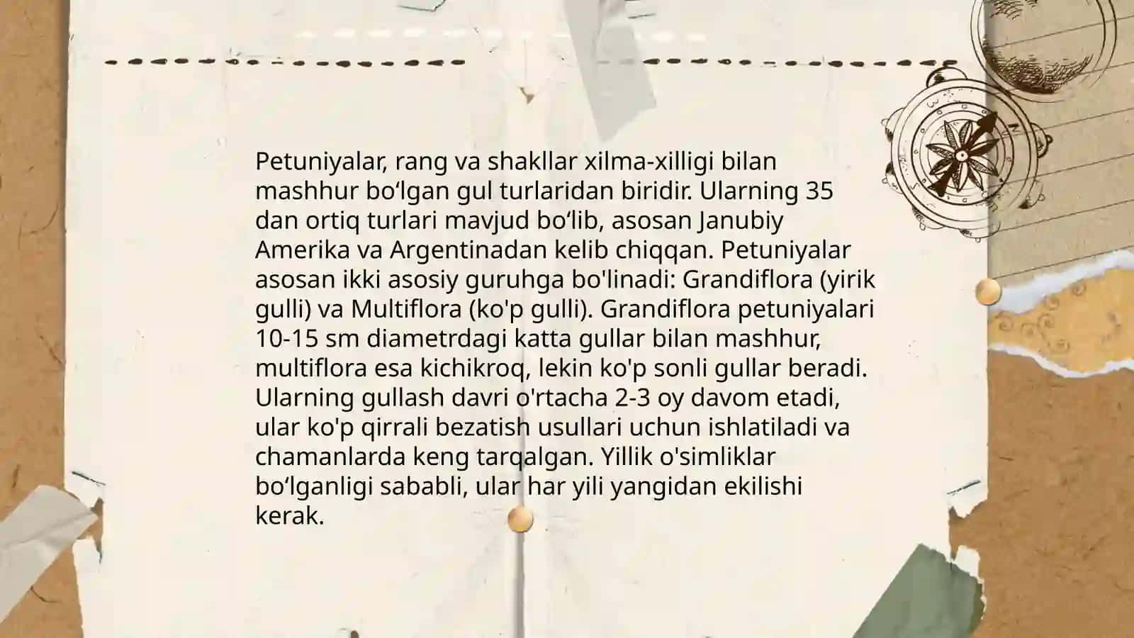 Petuniya guli 4