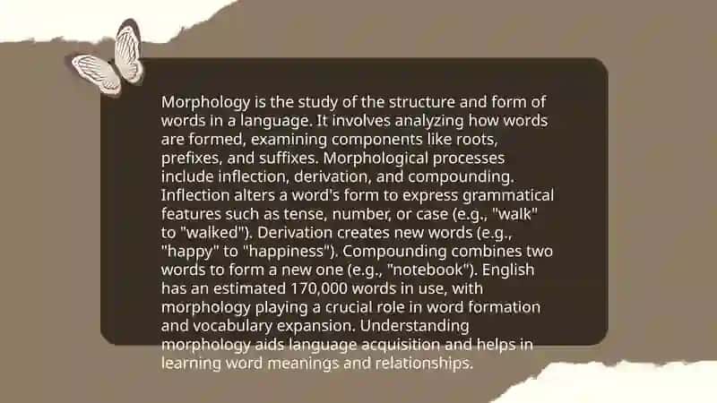 Phonetics and Phonology 4