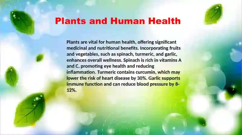 Plants are our_life.pptx 4