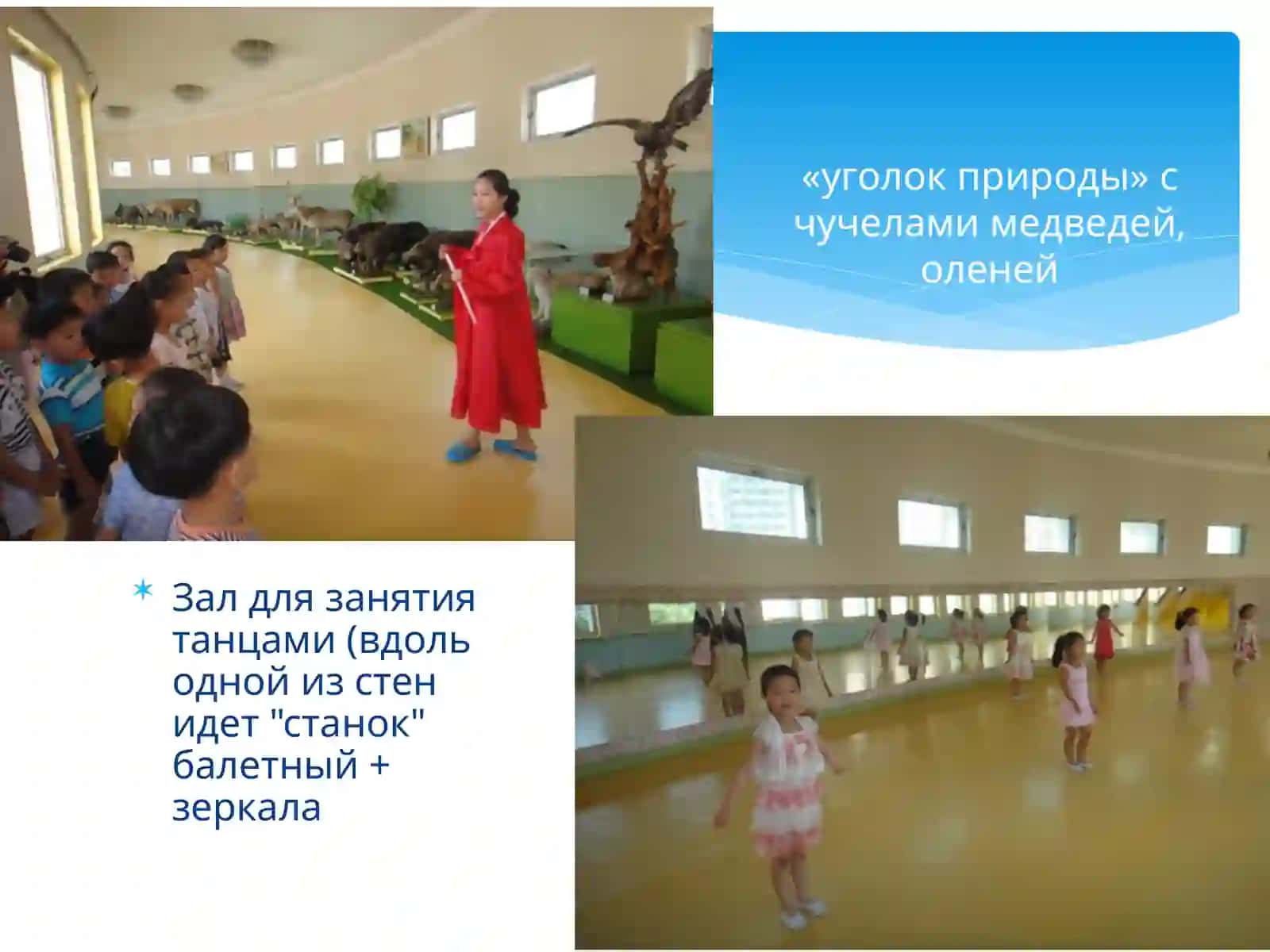 Детский сад в Корее 4