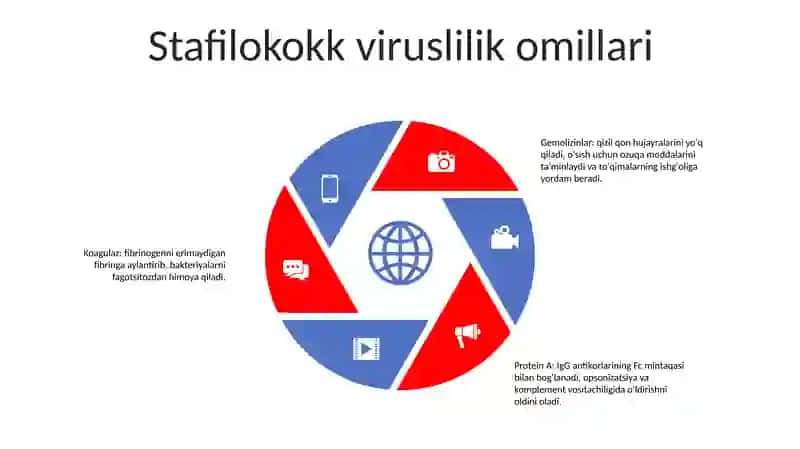 Stafilokoklar 4
