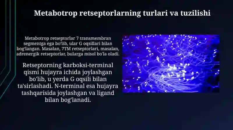 Metabotrop retseptorlar 4