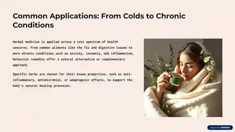 Herbal Medicine: Unveiling the Potential 4