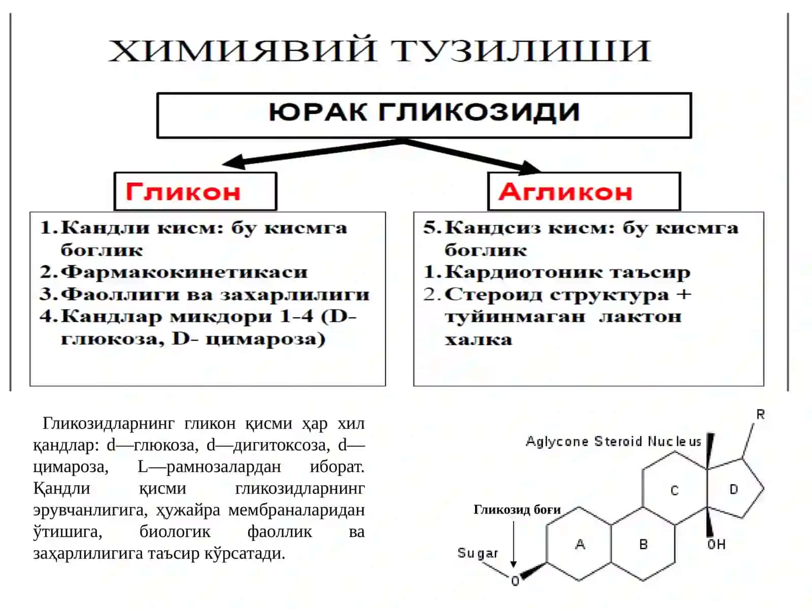 ЮРАК ГЛИКОЗИДЛАРИ 4