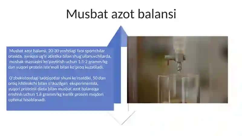 Azot balansi 4