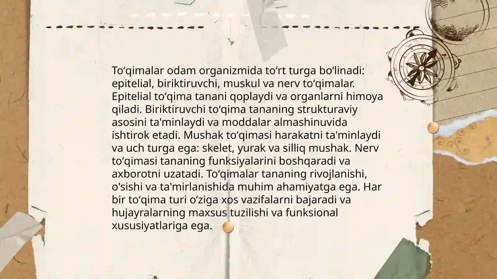 Toʻqimalar haqida umumiy maʼlumot 4