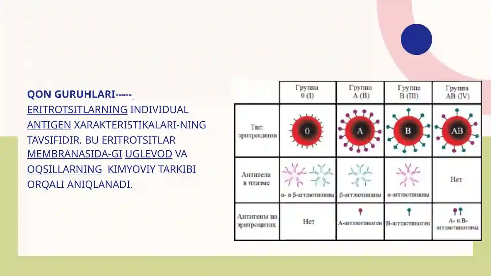 Qon guruhlari rezus Faktor kamqonlik tasnifi 4