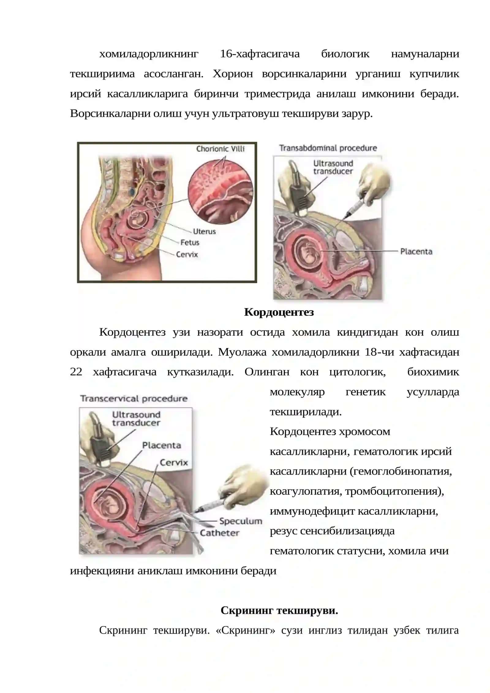 Prenatal diagnostika 4