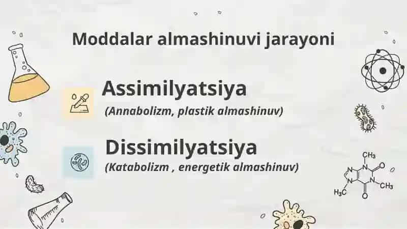 Moddalar Almashinuvi 4