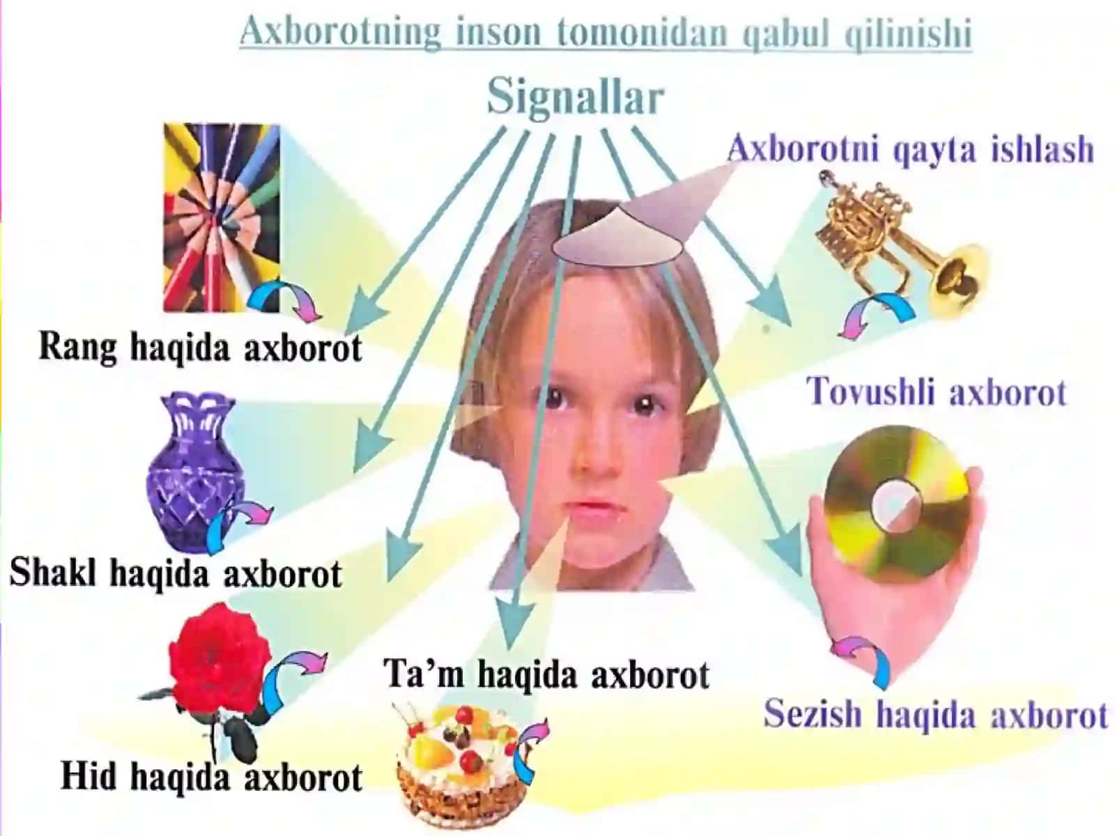 Insoniyatning rivojlanishi tarixi 4