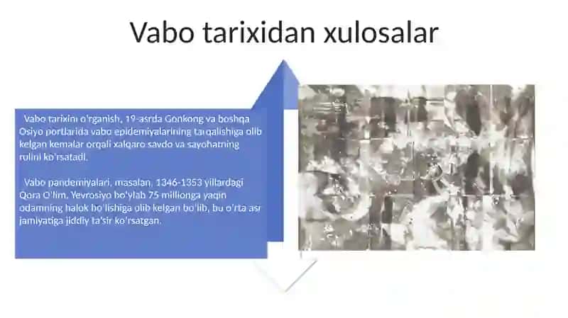 Vabo pandemiyalari 4