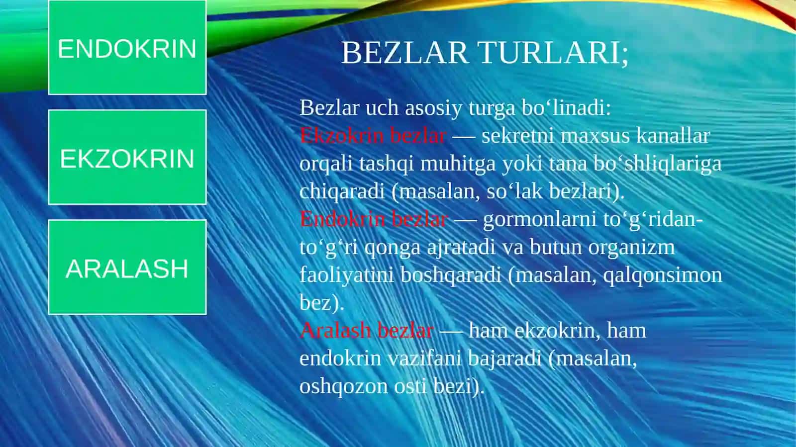 Bezlar 4