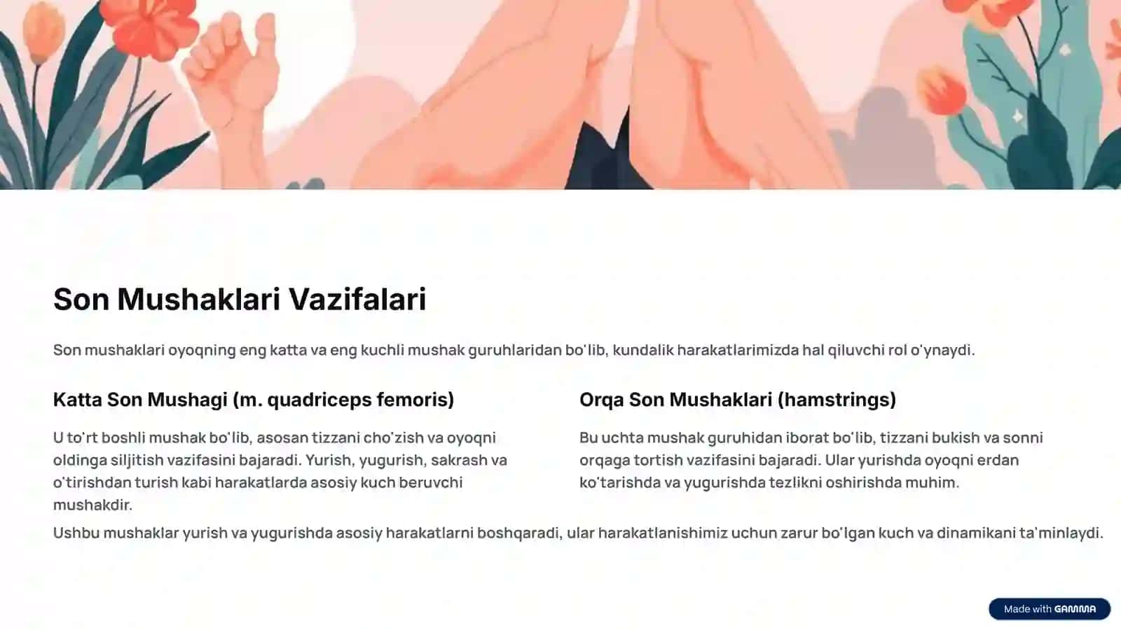 Oyoq Mushaklari Vazifalari: Tuzilishi va Harakatdagi Ahamiyati 4