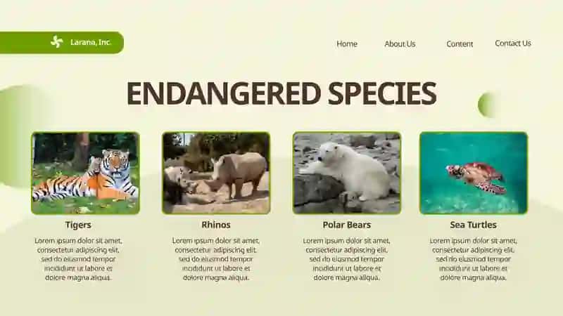 ANIMAL CONSERVATION 4