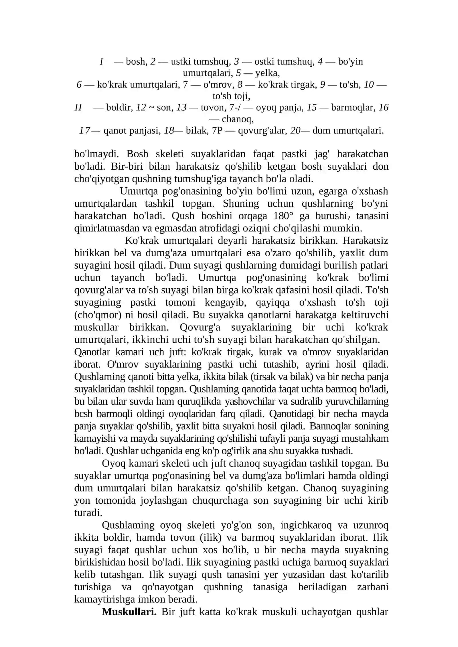 QUSHLAR SINFI 4