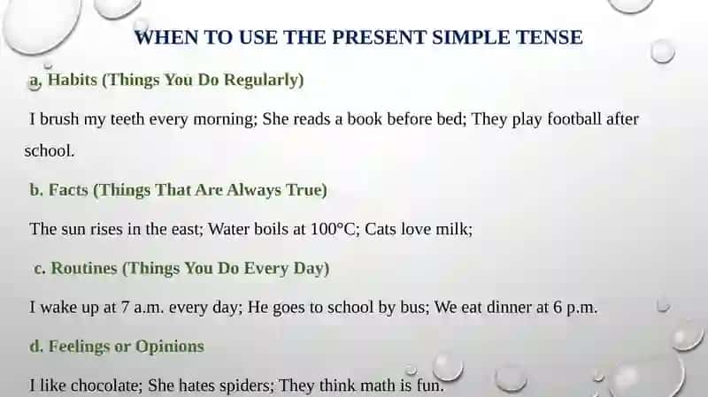 Simple Present Tense 4