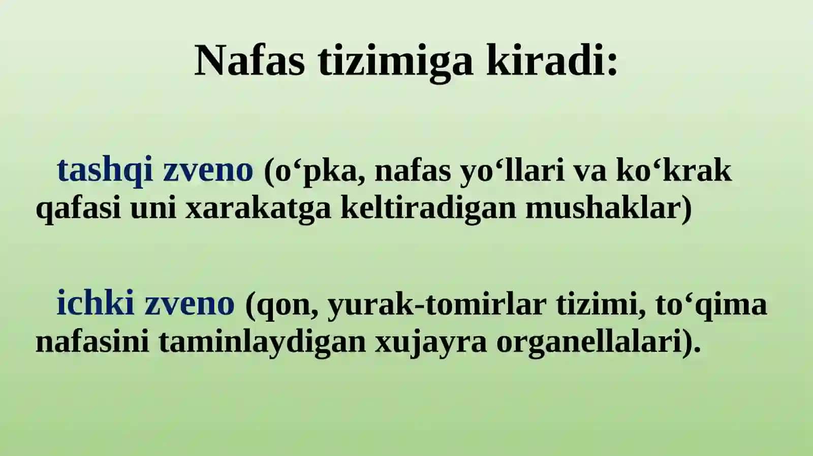 Nafasolish tizimining fiziologiyasi 4